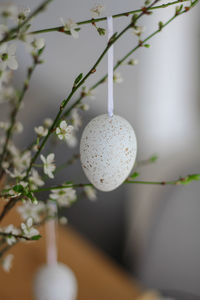 Close-up of christmas decoration