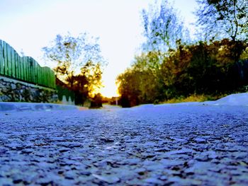 Surface level of road by trees against sky