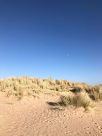 Scenic view of desert against clear blue sky