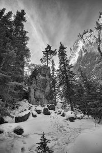 Scenic view of snow covered mountains against sky