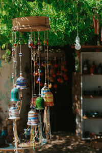 Close-up of lighting equipment hanging on tree