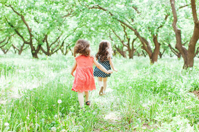 Rear view of two girls walking on grass