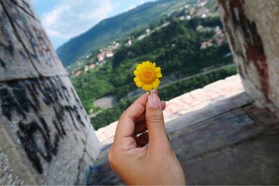Close-up of woman hand holding yellow flower in city