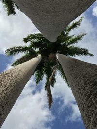 Low angle view of palm tree against sky
