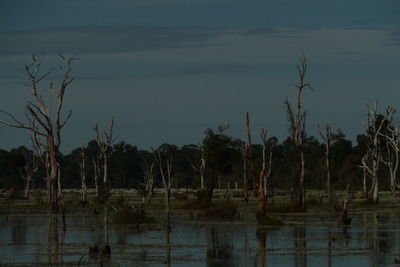 Scenic view of lake against sky at dusk