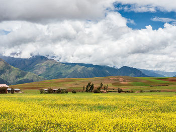 Scenic view of field against cloudy sky