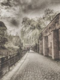 View of footpath along trees