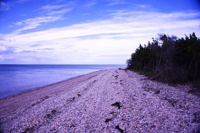 Scenic view of beach against cloudy sky