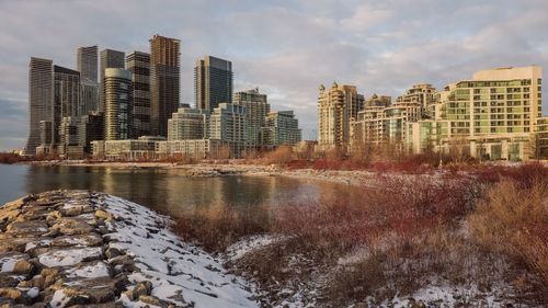 City buildings along lakeshore during winter near humber bay park in toronto, ontario, canada