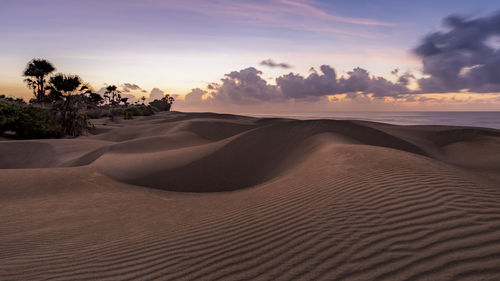 Scenic view of desert against sky during sunset