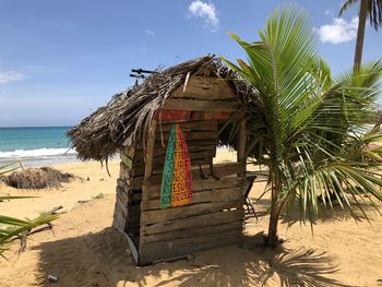 Palm trees on beach against sky