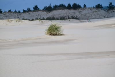 Scenic view of desert against sky