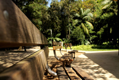 Empty bench by trees