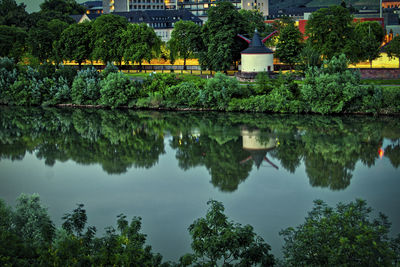 Reflection of trees in lake