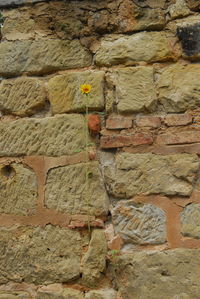 Full frame shot of stone wall