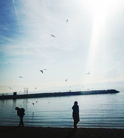 Birds flying over sea against sky