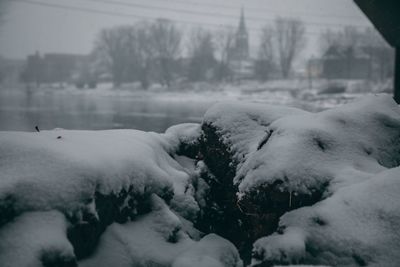 Close-up of dog during winter