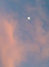 Low angle view of moon in sky at night