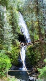 Waterfall in forest
