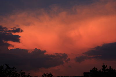 Low angle view of silhouette trees against orange sky