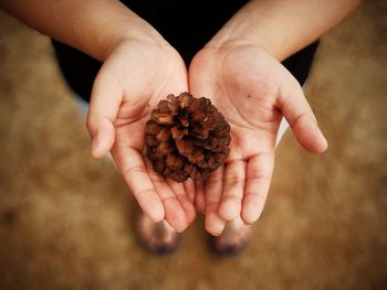 Low section of woman holding pine cone