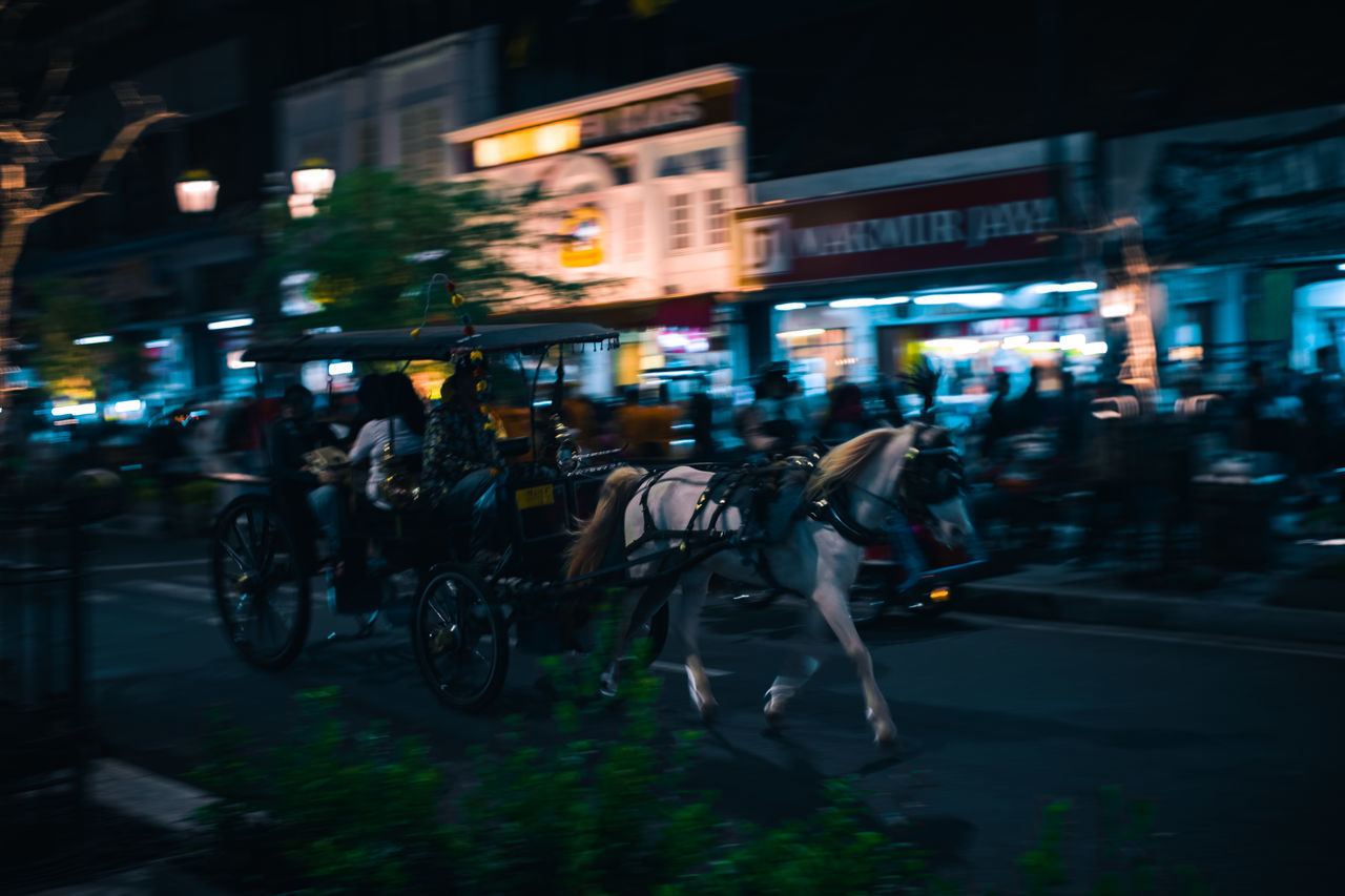 PEOPLE RIDING BICYCLES ON CITY STREET