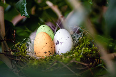 Bird nest with colorful easter eggs on branches of green trees, easter decoration, selective focus