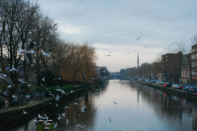 View of canal in city