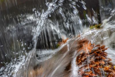 Close-up of water drops on spider web