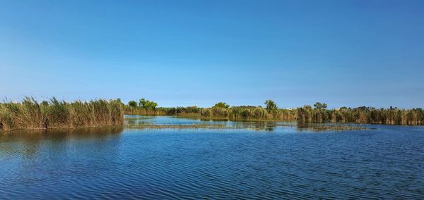 Scenic view of lake against clear blue sky