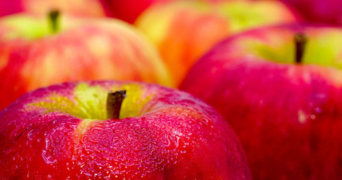 Fresh red apples with drops of water, closeup.	