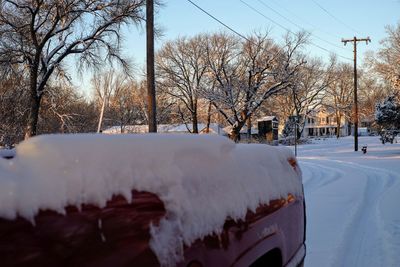 Snow covered road amidst bare trees against sky