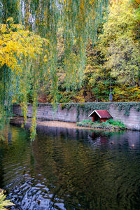 Scenic view of lake in forest during autumn