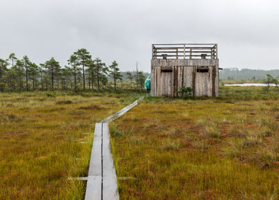 Bog landscape with wet trees, grass and bog moss in the rain, wooden lookout tower in the bog