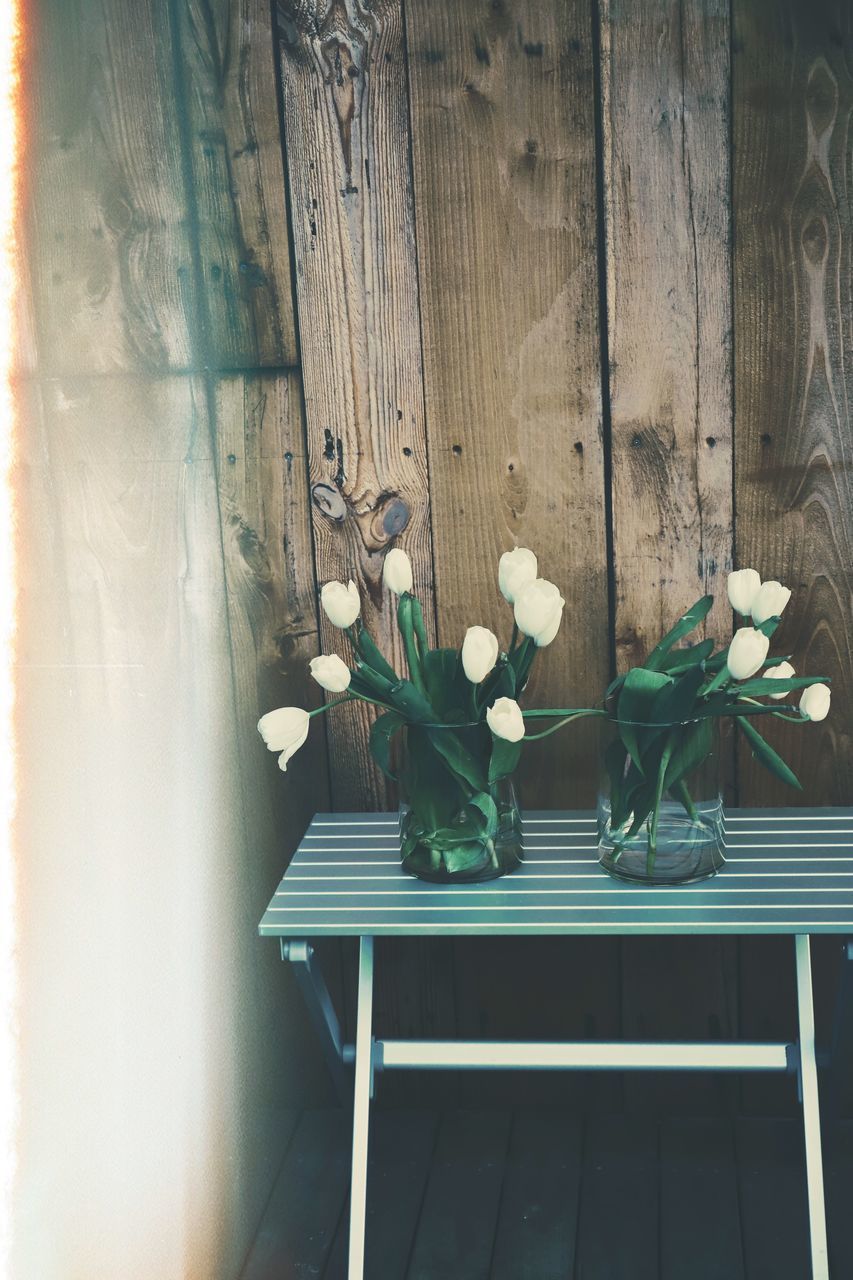 CLOSE-UP OF WHITE FLOWERING PLANT AGAINST BLUE WALL