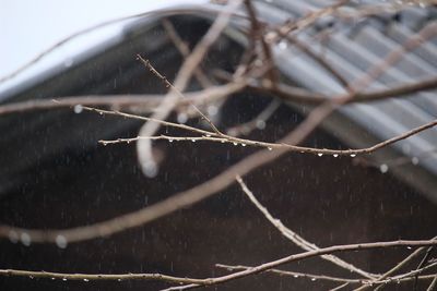 Close-up of water