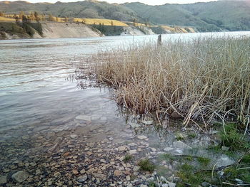 Scenic view of lake