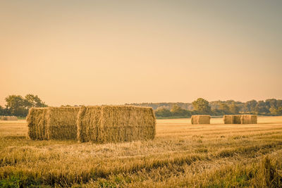 Hay bales on agricultural field against sky