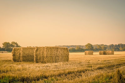 Hay bales on field