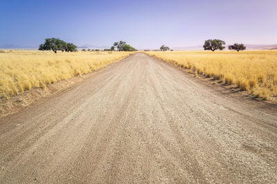 Road amidst field against sky