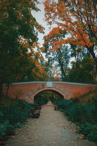 Arch bridge in park during autumn