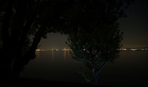 Reflection of trees in water