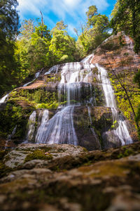 Water flowing through rocks in forest