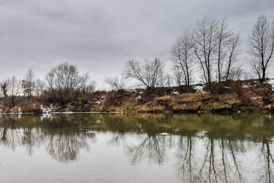 Reflection of trees in lake against sky