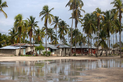 House and palm trees by lake against sky