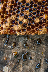 High angle view of bees on wood