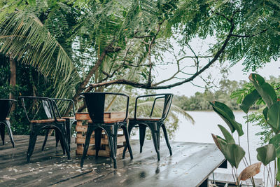 Empty chairs and table against trees during rainy season