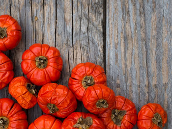 High angle view of pumpkins on wood during autumn