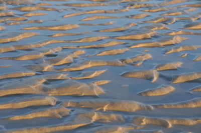 High angle view of ice on beach