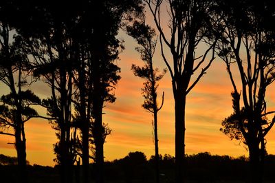 Silhouette trees against sky during sunset